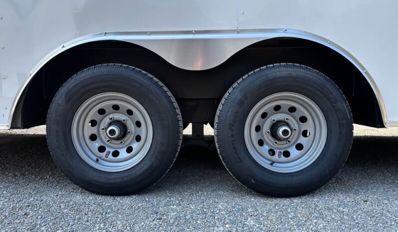 
								2026 Haulmark DLX 8.5×20 Enclosed Cargo Trailer 90″H full									